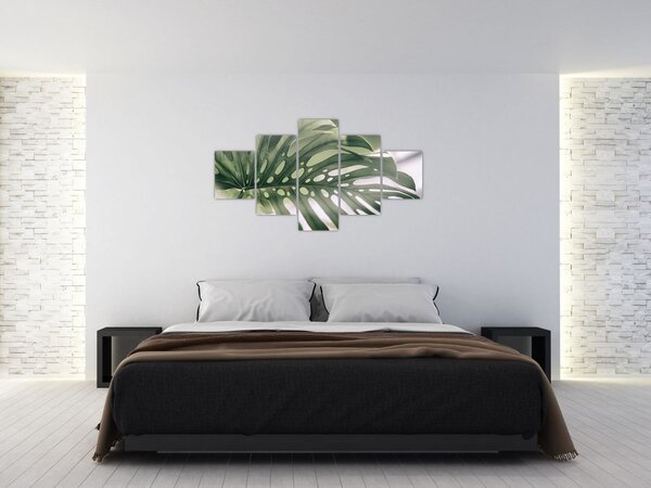 Obraz - List monstery (125x70 cm)
