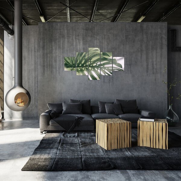 Obraz - List monstery (125x70 cm)