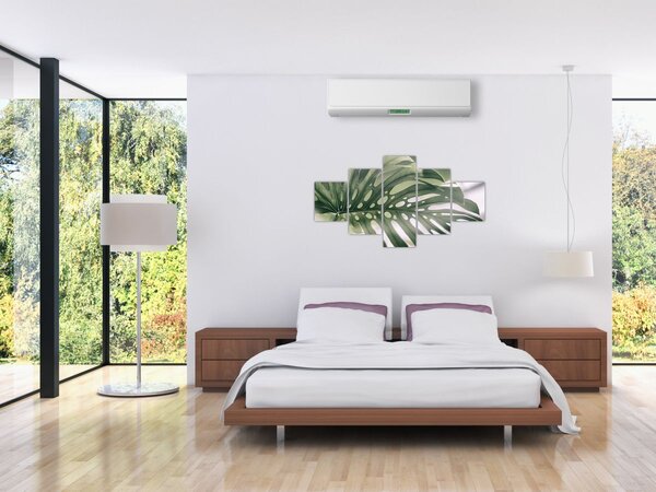 Obraz - List monstery (125x70 cm)