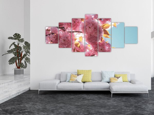 Obraz - Třešňový květ (210x100 cm)