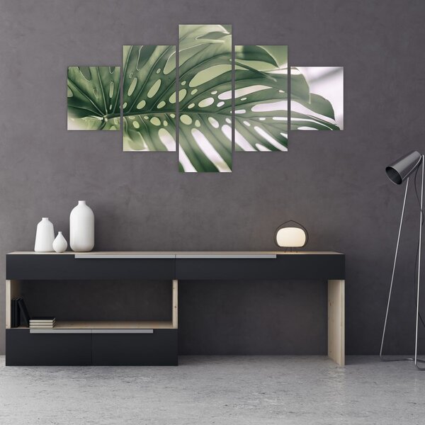 Obraz - List monstery (125x70 cm)