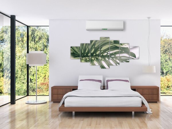 Obraz - List monstery (210x100 cm)