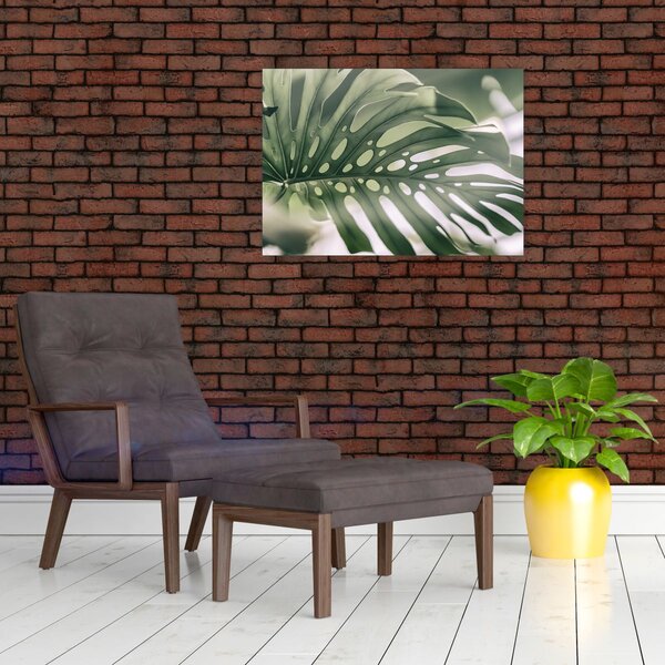 Obraz - List monstery (70x50 cm)