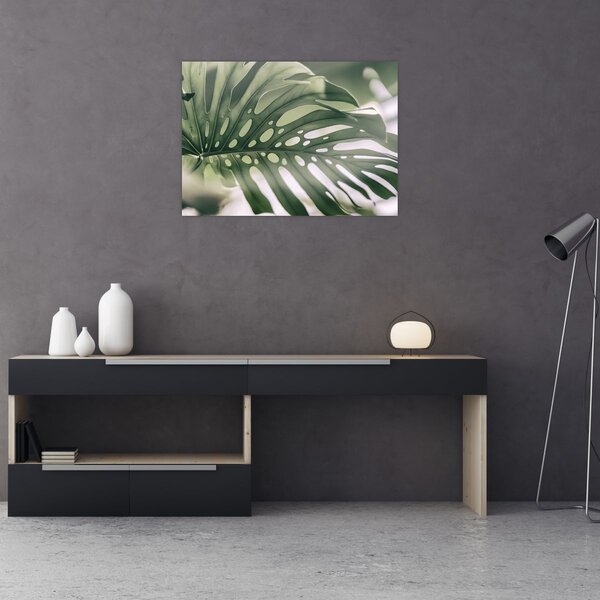 Obraz - List monstery (70x50 cm)