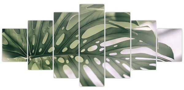 Obraz - List monstery (210x100 cm)