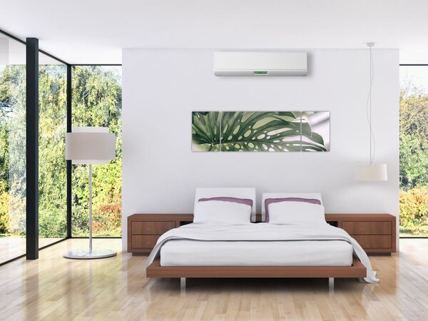 Obraz - List monstery (170x50 cm)