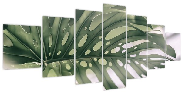 Obraz - List monstery (210x100 cm)