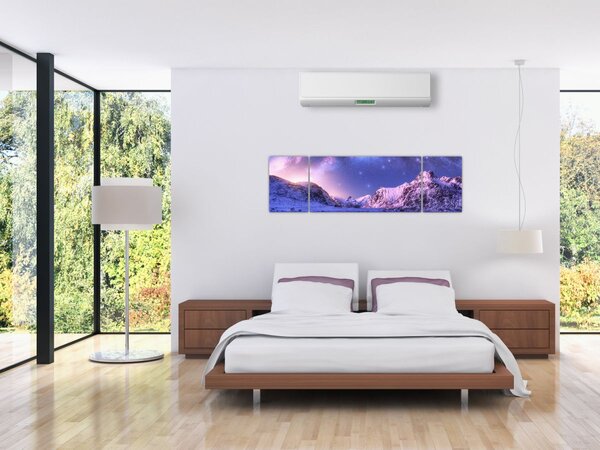 Obraz - Arktická krajina (170x50 cm)