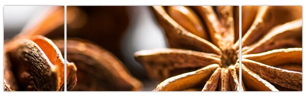 Obraz - Anýz (170x50 cm)