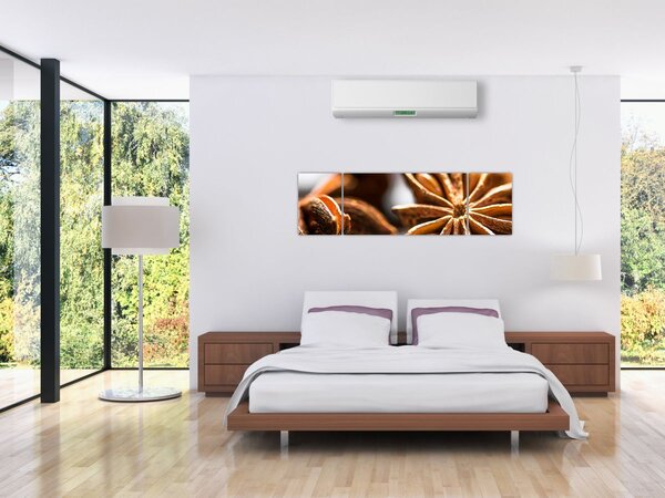 Obraz - Anýz (170x50 cm)