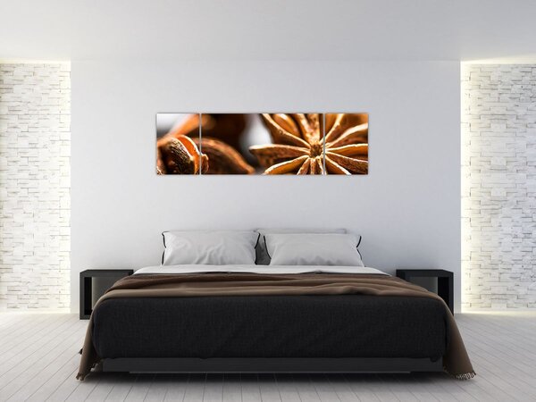 Obraz - Anýz (170x50 cm)