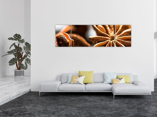 Obraz - Anýz (170x50 cm)