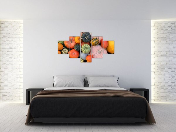 Obraz - Dýně (125x70 cm)