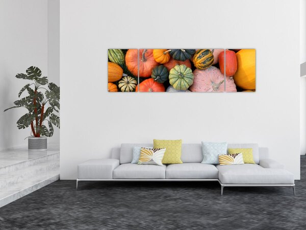 Obraz - Dýně (170x50 cm)