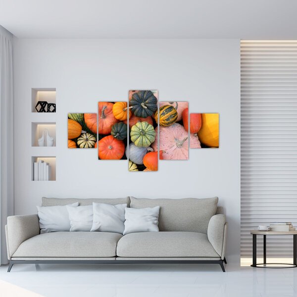Obraz - Dýně (125x70 cm)