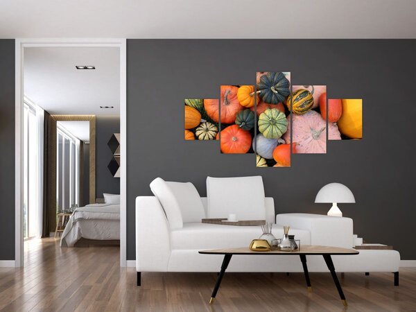 Obraz - Dýně (125x70 cm)
