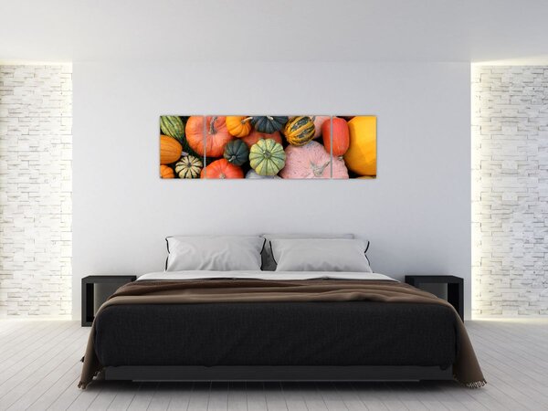 Obraz - Dýně (170x50 cm)