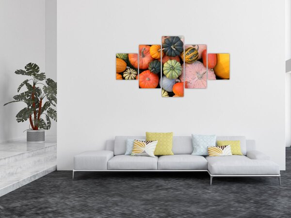 Obraz - Dýně (125x70 cm)