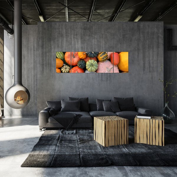 Obraz - Dýně (170x50 cm)