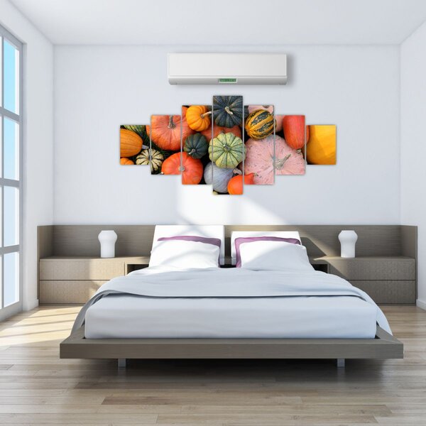 Obraz - Dýně (210x100 cm)