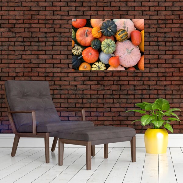 Obraz - Dýně (70x50 cm)