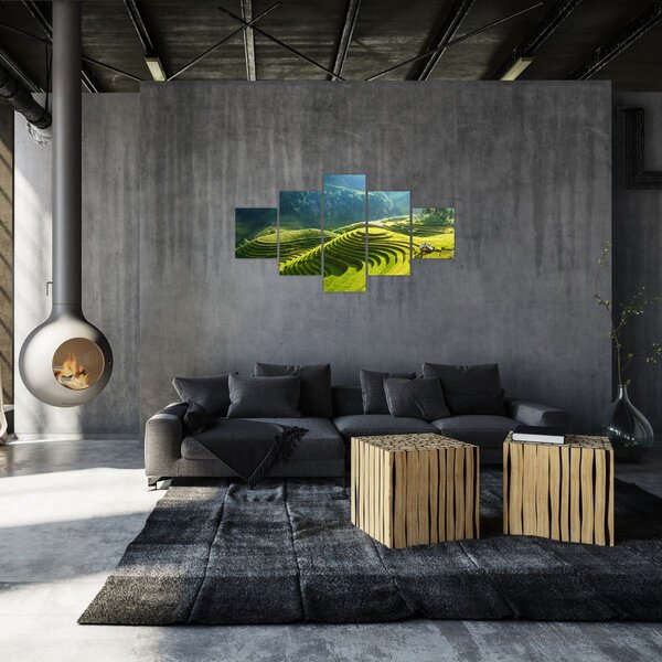 Obraz - Koncert rýžových teras (125x70 cm)