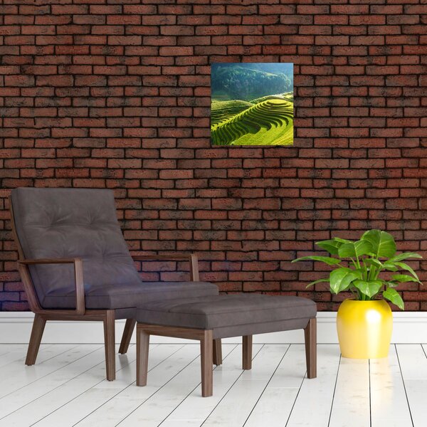 Obraz - Koncert rýžových teras (30x30 cm)
