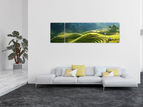 Obraz - Koncert rýžových teras (170x50 cm)