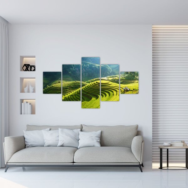 Obraz - Koncert rýžových teras (125x70 cm)