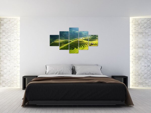 Obraz - Koncert rýžových teras (125x70 cm)