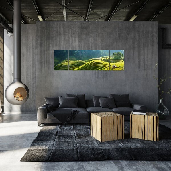 Obraz - Koncert rýžových teras (170x50 cm)