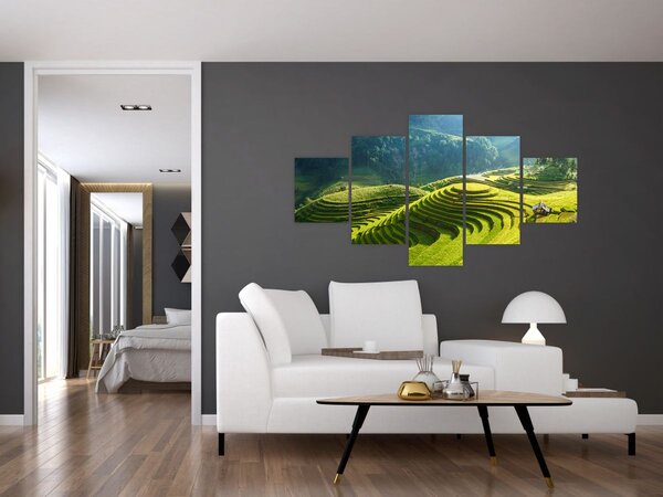 Obraz - Koncert rýžových teras (125x70 cm)