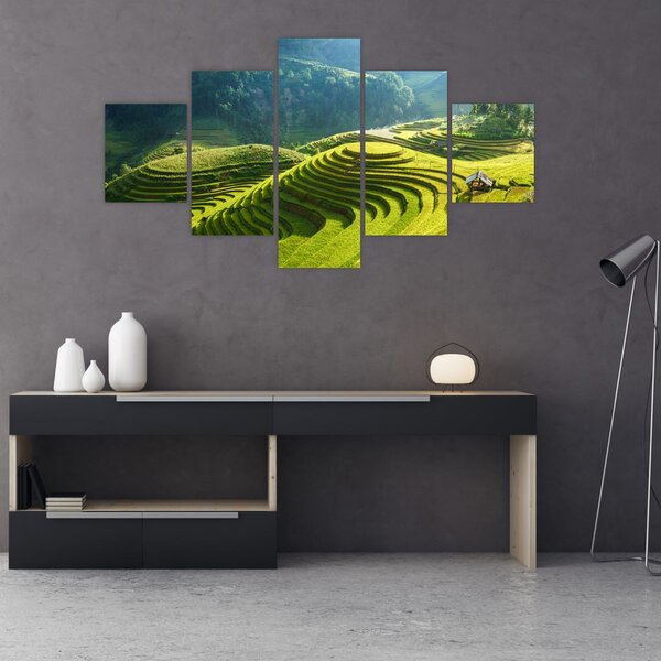 Obraz - Koncert rýžových teras (125x70 cm)