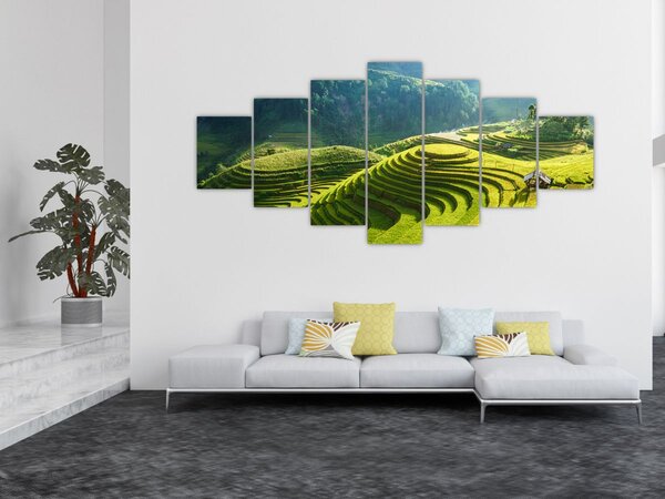 Obraz - Koncert rýžových teras (210x100 cm)