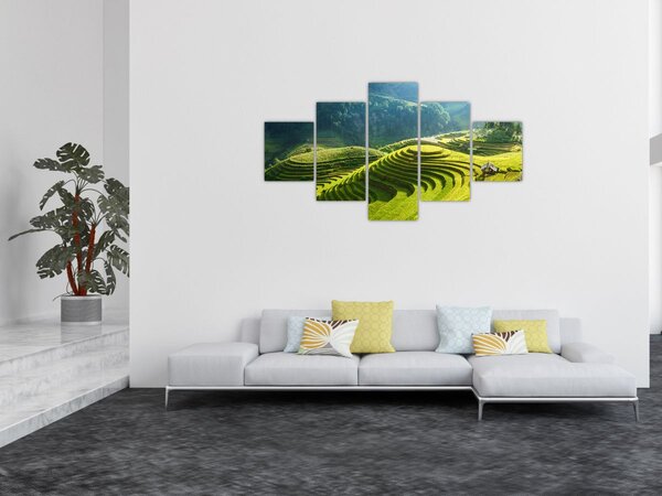 Obraz - Koncert rýžových teras (125x70 cm)