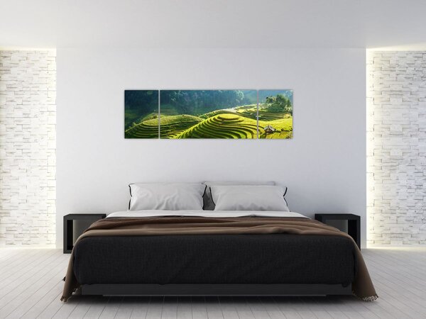 Obraz - Koncert rýžových teras (170x50 cm)