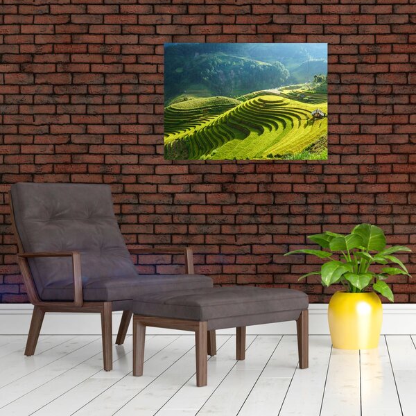 Obraz - Koncert rýžových teras (70x50 cm)