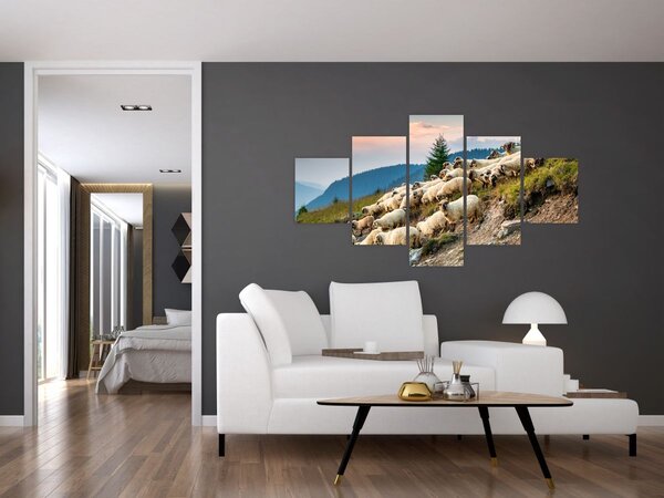 Obraz - Stádo ovcí (125x70 cm)