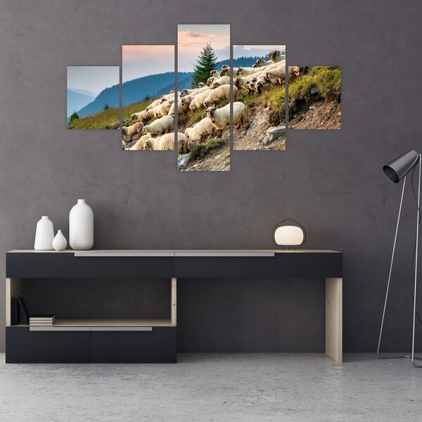 Obraz - Stádo ovcí (125x70 cm)