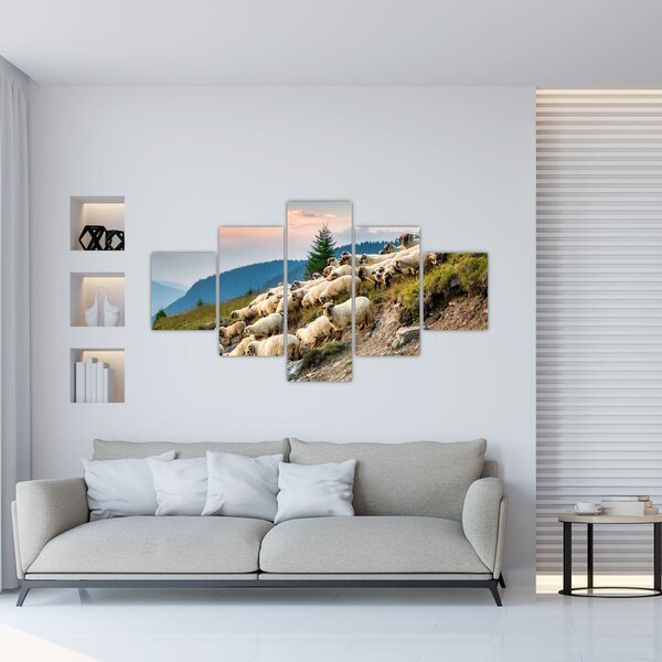 Obraz - Stádo ovcí (125x70 cm)