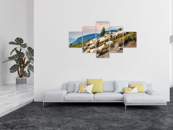 Obraz - Stádo ovcí (125x70 cm)