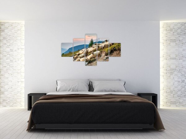 Obraz - Stádo ovcí (125x70 cm)