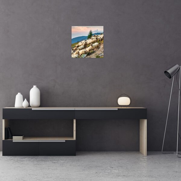 Obraz - Stádo ovcí (30x30 cm)