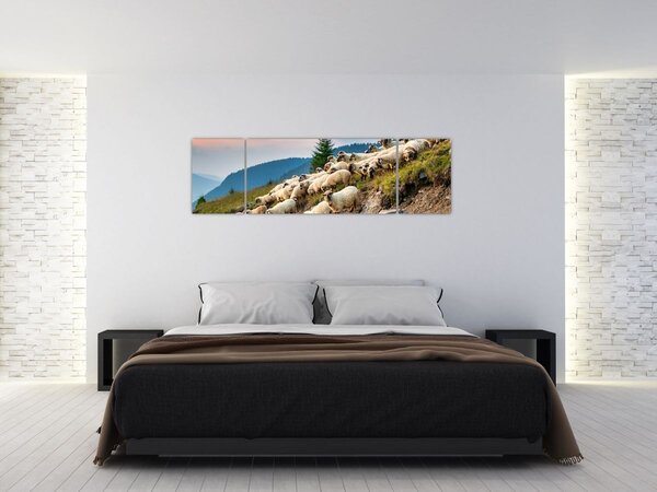 Obraz - Stádo ovcí (170x50 cm)