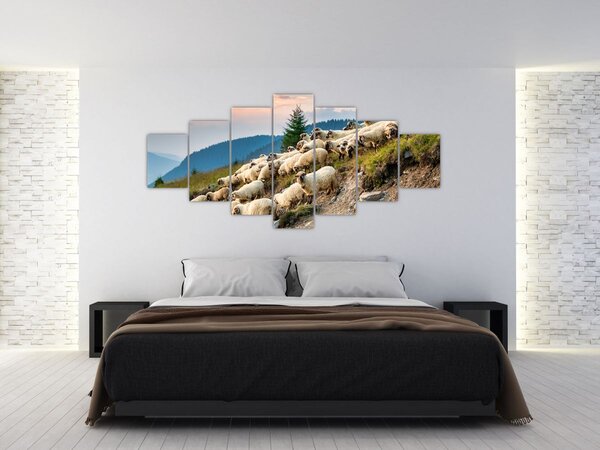 Obraz - Stádo ovcí (210x100 cm)