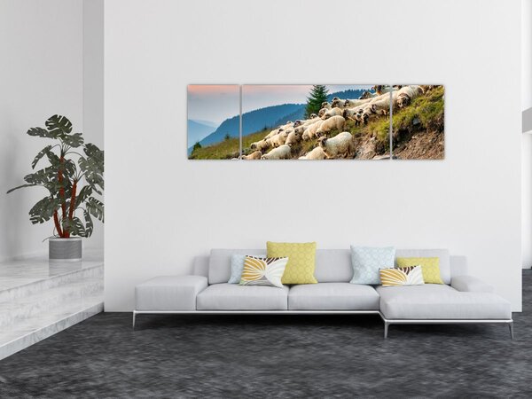 Obraz - Stádo ovcí (170x50 cm)