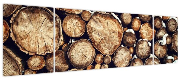 Obraz - Dřevo ve sněhu (170x50 cm)
