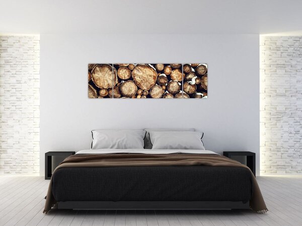Obraz - Dřevo ve sněhu (170x50 cm)