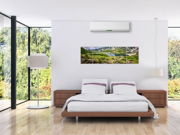 Obraz - Pohled na horu Rila (170x50 cm)