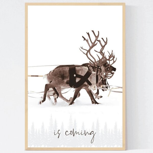 SADA OBRAZŮ, 33/48/2 cm X-Mas - Obrazy na plátně, Online Only